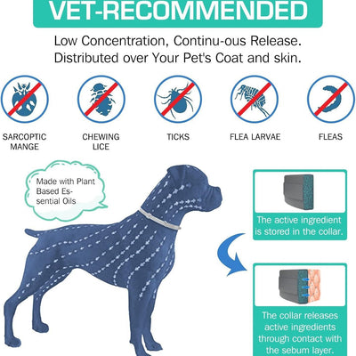 AICONSTO small dog insect repellent collar, gray, offering 8-month protection against fleas, ticks, lice, and flea larvae. - Image 12