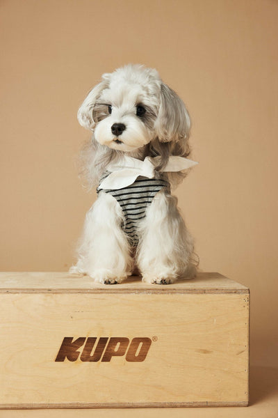 Vestido Rayado Primavera y Verano para Perros - Image 15