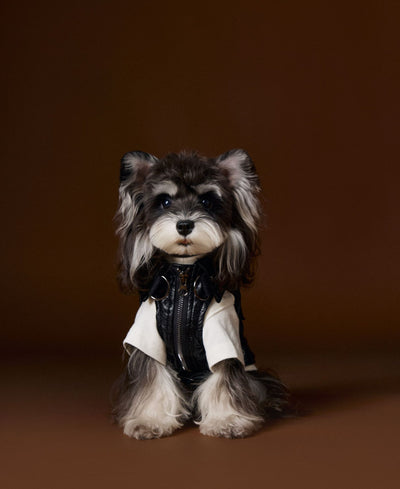 Chaleco de Cuero con Bolsillos de Carga - Diseño Industrial Estampado Mascotas - Image 9