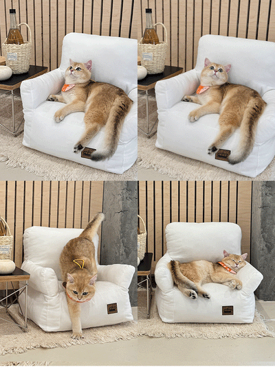 Cama Sofá para Mascotas con Diseño Acogedor - Lavable y Transpirable - Image 32