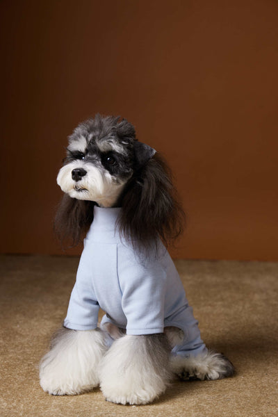 Playera Térmica para Perros Schnauzer y Bichón - Cómoda y Abrigadora - Image 28