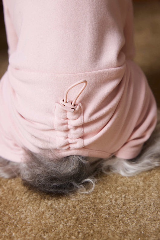 Playera Térmica para Perros Schnauzer y Bichón - Cómoda y Abrigadora - Image 24
