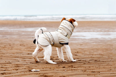 Abrigo Impermeable para Perros - Protección Contra Viento y Frío - Image 11