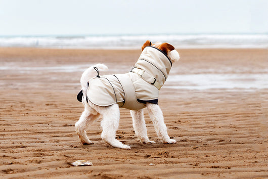 Abrigo Impermeable para Perros - Protección Contra Viento y Frío - Image 11