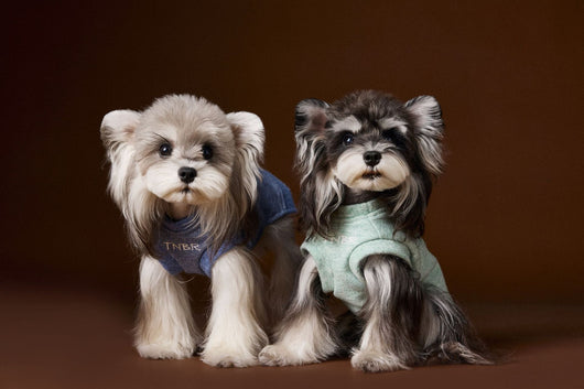 Suéter sin Mangas para Perro Bichón Maltés con Cabeza de Oso 3D - Image 12