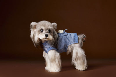 Suéter sin Mangas para Perro Bichón Maltés con Cabeza de Oso 3D - Image 28