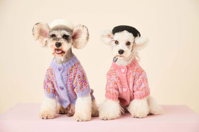 Cardigan Tejido para Perras Otoño e Invierno - Suéter Colorido - Image 10