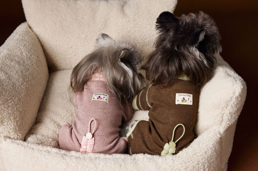 Ropa para Perros Teddy Schnauzer Bichon Bicolor Cómoda - Image 37