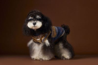 Chaleco Sin Mangas para Mascotas Schnauzer Bichón Rayas Arcoíris Variegadas - Image 22