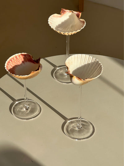 Vaso Térmico Diseño Concha Marina - Taza Creativa para Bebidas - Image 13