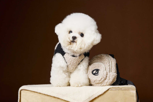 Chaleco de Terciopelo Acolchado Schnauzer Bichon sin Mangas - Image 24