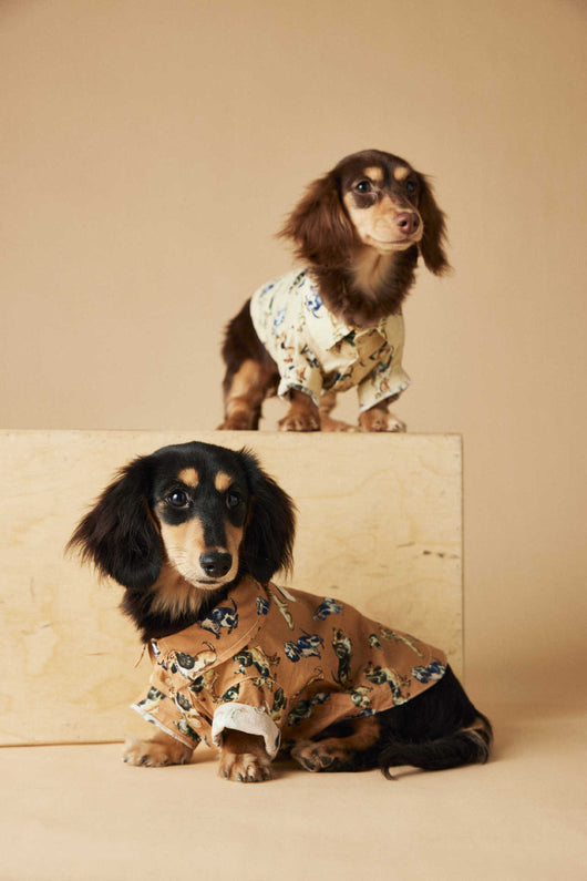 Playera Estampada con Razas de Perros - Dachshund, Schnauzer, Bichón y Maltés - Image 45
