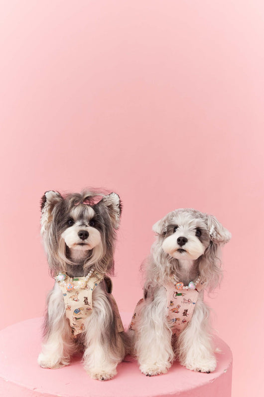 Falda Denim con Tirantes para Perros Pequeños Schnauzer y Maltés - Image 27