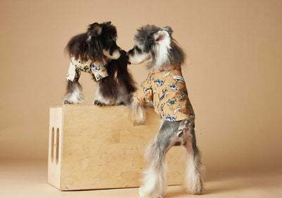 Playera Estampada con Razas de Perros - Dachshund, Schnauzer, Bichón y Maltés - Image 13