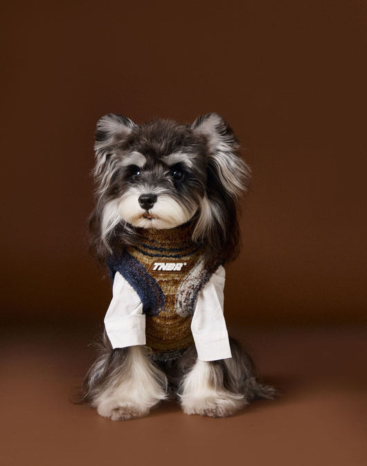 Chaleco Sin Mangas para Mascotas Schnauzer Bichón Rayas Arcoíris Variegadas - Image 32