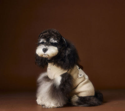 Chaleco Térmico sin Mangas para Perros Schnauzer, Bichón y Razas Pequeñas - Image 24