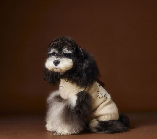 Chaleco Térmico sin Mangas para Perros Schnauzer, Bichón y Razas Pequeñas - Image 24