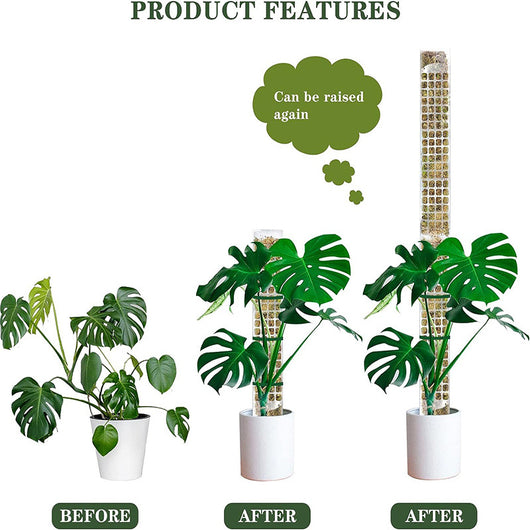 Soporte de Musgo Plástico para Plantas Trepadoras y Enredaderas - Image 19