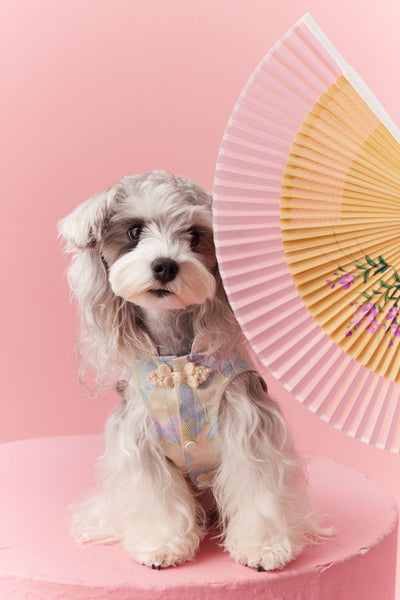 Chaleco Cheongsam Estilo Neo-Chino para Mascotas Pequeños - Schnauzer y Bichón - Image 42