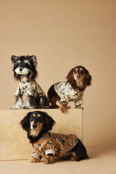 Playera Estampada con Razas de Perros - Dachshund, Schnauzer, Bichón y Maltés - Image 41
