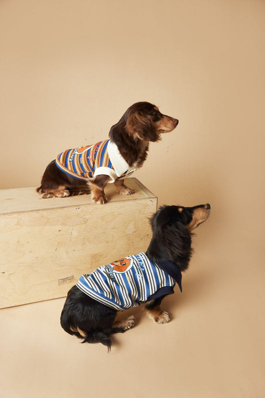 Polo Rayado para Perros Tony Bear - Ropa Cómoda y Elegante - Image 22