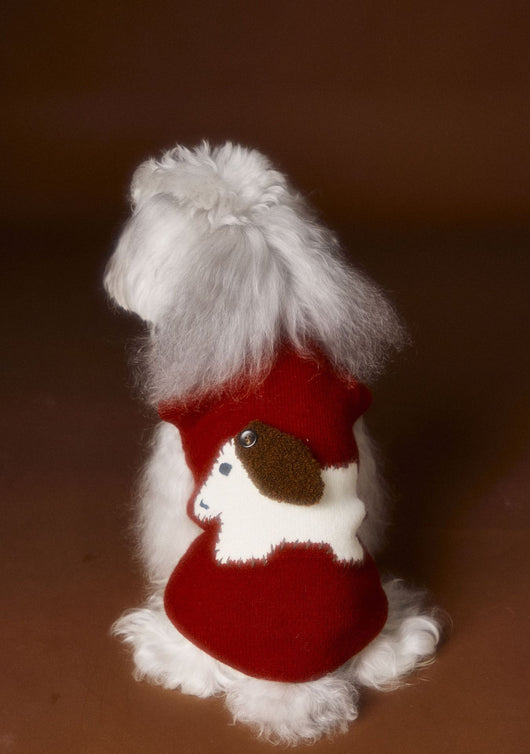 Chaleco Térmico sin Mangas para Perros Schnauzer, Bichón y Razas Pequeñas - Image 32