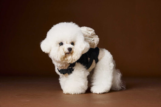 Chaleco de Terciopelo Acolchado Schnauzer Bichon sin Mangas - Image 54