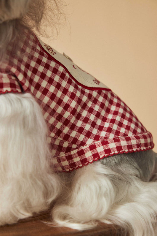 Chaleco Escocés sin Mangas para Perro Maltés y Schnauzer Teddy en Rojo - Image 23