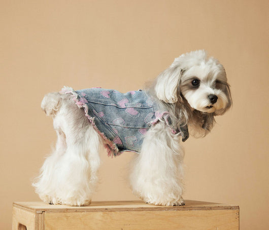 Chaleco Denim sin Mangas para Perros - Diseño Desgastado Love - Image 25
