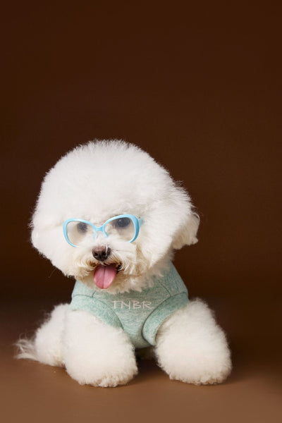 Suéter sin Mangas para Perro Bichón Maltés con Cabeza de Oso 3D - Image 32