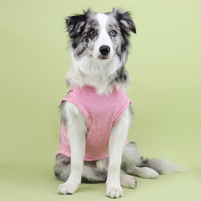 Ropa Reflectante para Perros Pequeños - Chaleco Luminoso Teddy, Pomerania y Pug - Image 43
