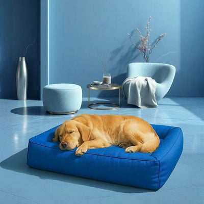 Cama Ortopédica para Mascotas con Soporte Envolvente - Image 20