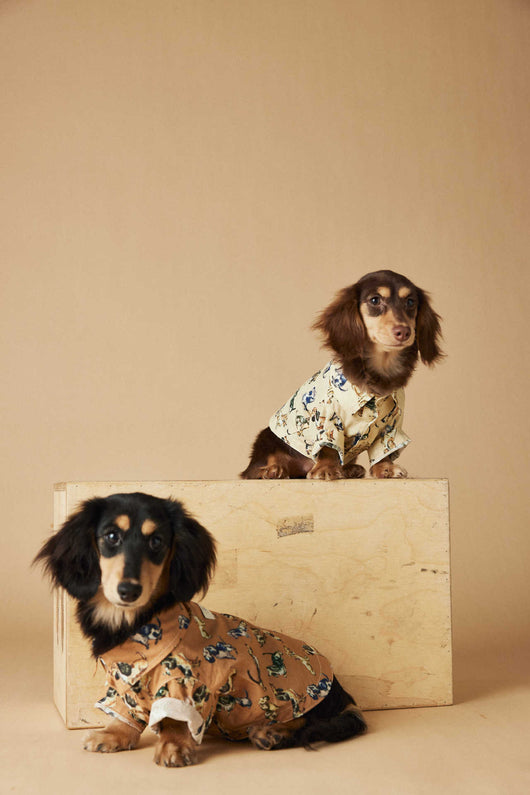 Playera Estampada con Razas de Perros - Dachshund, Schnauzer, Bichón y Maltés - Image 31