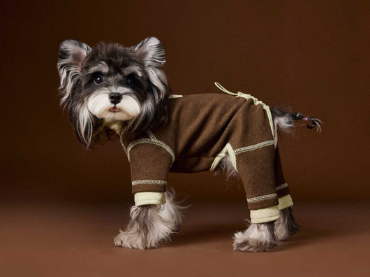 Ropa para Perros Teddy Schnauzer Bichon Bicolor Cómoda - Image 41