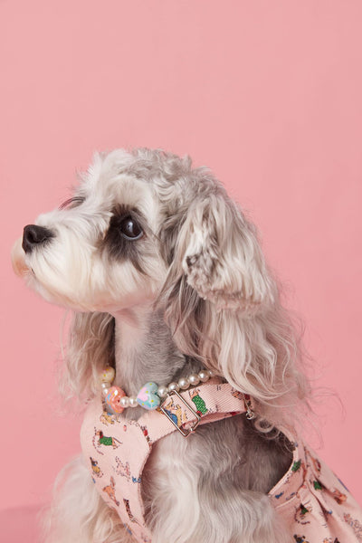 Falda Denim con Tirantes para Perros Pequeños Schnauzer y Maltés - Image 43