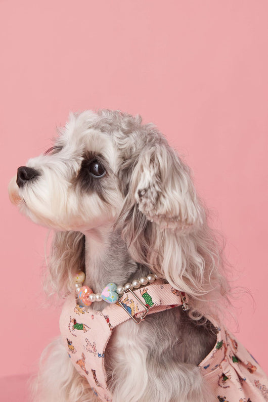 Falda Denim con Tirantes para Perros Pequeños Schnauzer y Maltés - Image 43