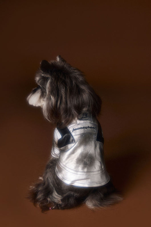 Chaqueta de Cuero Plateado Desgastado Teddy Schnauzer Bichon - Image 14