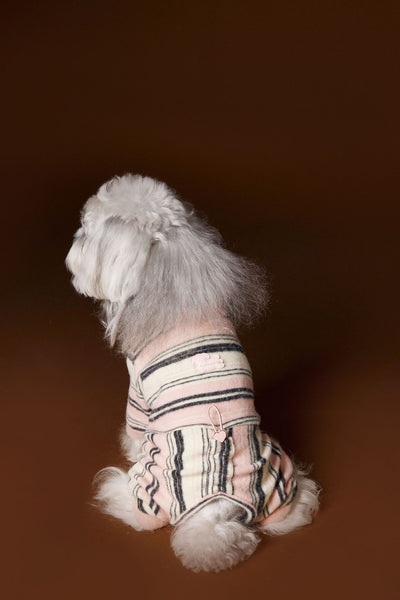 Suéter Térmico de Rayas para Perros Pequeños - Schnauzer, Bichón y Maltés - Image 16