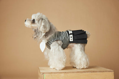 Vestido Rayado Primavera y Verano para Perros - Image 31