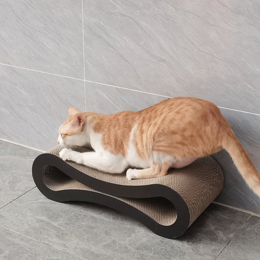 Juguete para Gatos Figura Ocho en Cartón Corrugado - Image 22