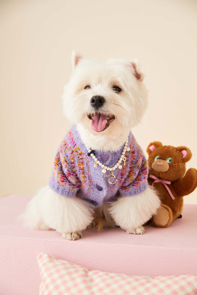 Cardigan Tejido para Perras Otoño e Invierno - Suéter Colorido - Image 16