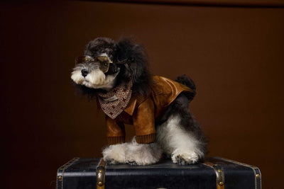 Abrigo de Cuero Retro Estampado Schnauzer Bichon - Manga Larga Unisex - Image 11
