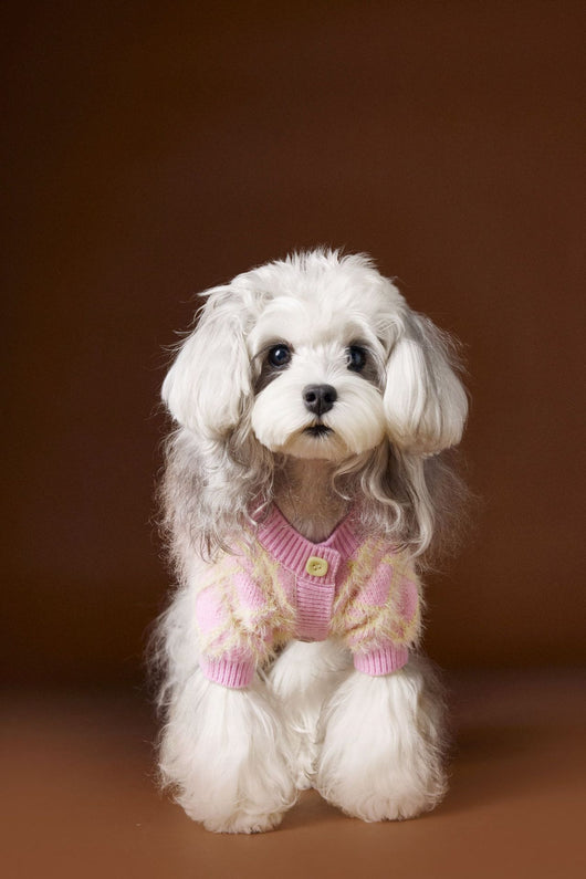 Suéter Cardigan Adorable para Perros Schnauzer y Bichón - Image 25