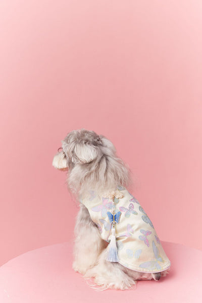 Chaleco Cheongsam Estilo Neo-Chino para Mascotas Pequeños - Schnauzer y Bichón - Image 20