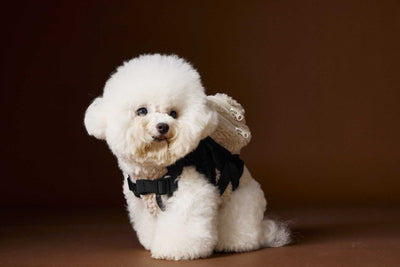Chaleco de Terciopelo Acolchado Schnauzer Bichon sin Mangas - Image 46