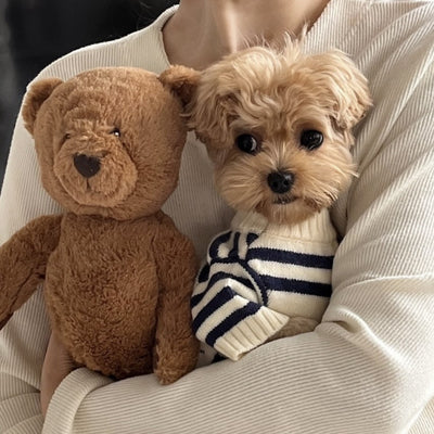 Suéter Tejido Cálido para Mascotas Estilo Coreano Otoño Invierno - Image 9