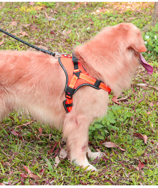 Arnés de Pecho Anti-Tirón para Perros Grandes - Image 11