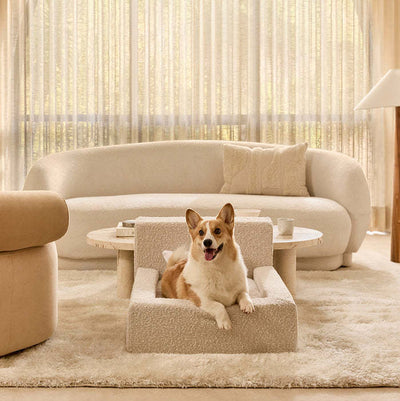 Cama Ortopédica Rectangular para Perros con Colchón Acolchado - Image 22