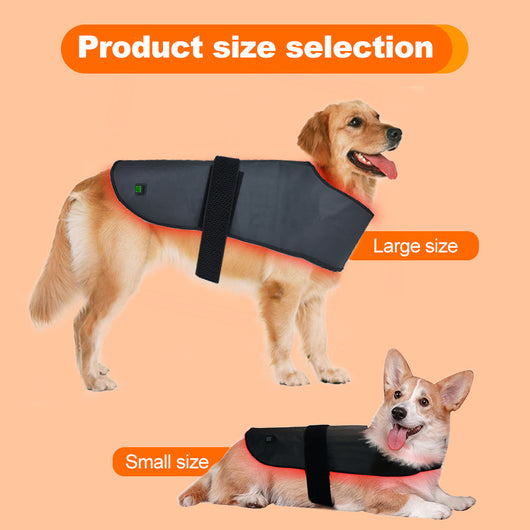 Dispositivo de Fototerapia Infrarroja para Mascotas - Tamaño L con Temporizador Inalámbrico - Image 17