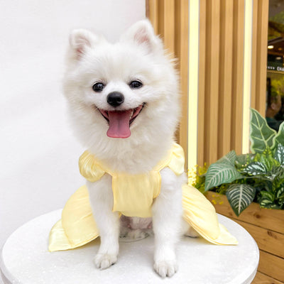 Vestido de Boda para Mascotas - Ropa Elegante para Perros y Gatos - Image 37